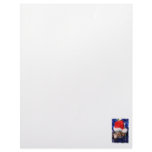 Razorbacked Musk Turtle, Santa Hat over head Letterhead