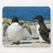 Razorbills Mouse Pads