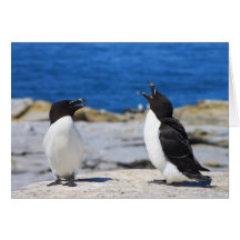 Razorbills on Island Greeting Cards