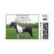 RAZZ55-TRIMMED, Razz's Special Effects Just The... postage