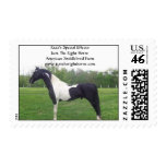 RAZZ55-TRIMMED, Razz's Special Effects Just The... Stamps