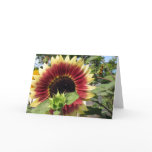 Razzmatazz Sunflower Card