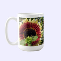Razzmatazz Sunflower mugs