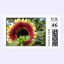 Razzmatazz Sunflower postage