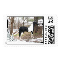 Razz's Special Effects postage