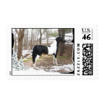 Razz's Special Effects Stamp