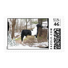 Razz's Special Effects Stamp