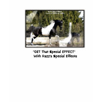 RAZZSSPECIALEFFECTS, "GET That Special EFFECT" ... t-shirts