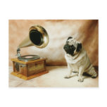 RCA Pug Dog Postcard