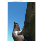 RCAF Eagle Memorial 1 Card
