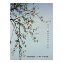 "Re-Awakening" posters by riverdweller "Re-Awakening" posters