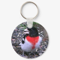 Re Breasted Gross Beak keychain