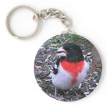 Re Breasted Gross Beak Key Chains