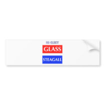 RE-ELECT Glass Steagall Bumper Sticker