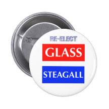 RE-ELECT Glass Steagall Pinback Buttons