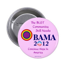 Re-Elect OBAMA 2012 Issues political pinback butto