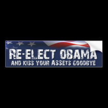 Re-Elect Obama - Anti Obama Election bumper stickers