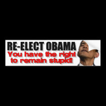 Re-Elect Obama bumper stickers