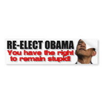 Re-Elect Obama Bumper Stickers