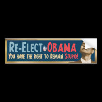 Re-Elect Obama, Stupid! bumper stickers
