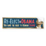 Re-Elect Obama, Stupid! Bumper Stickers
