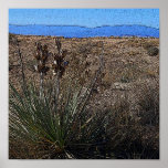 Re-Painted Desert Prairie - Digital Art Print