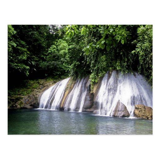 Reach Falls, Port Antonio, Jamaica Post Cards