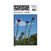 Reach for It stamps