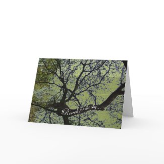 Reach for the Sky Greeting Card card