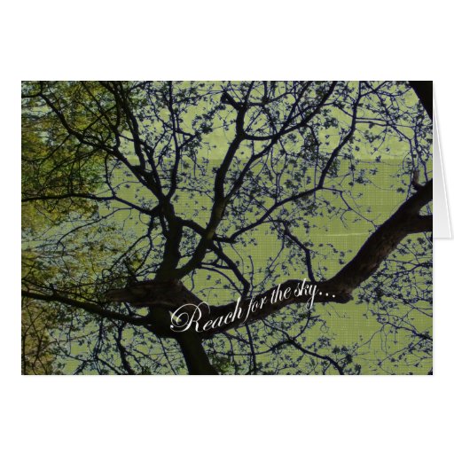 Reach for the Sky Greeting Card
