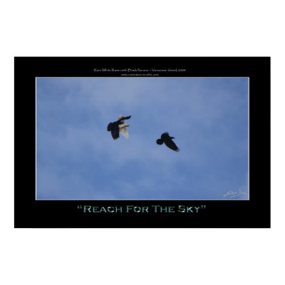 "REACH FOR THE SKY" Photo Print or Poster by RavenSpiritPrints