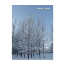Reach for the Sky postcards