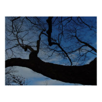 Reach for the Sky Poster posters