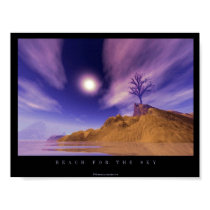 Reach for the Sky posters
