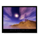 Reach for the Sky posters