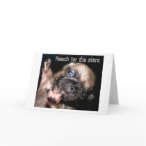 Reach for the stars cards