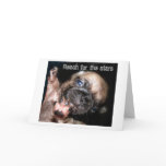 Reach for the stars cards