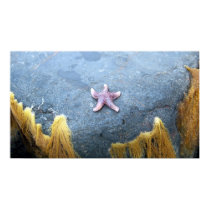 Reach For The Stars Poster posters