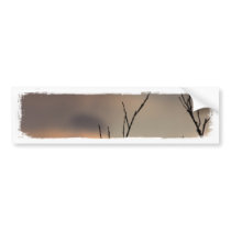 Reach for the Sunset Bumper Stickers