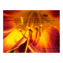 Reach High posters