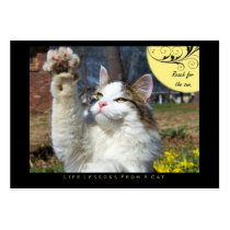 Reach Life Lessons From a Cat ACEO Art Cards business cards