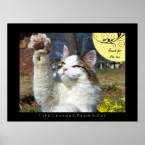 Reach Life Lessons From a Cat Fine Art Print