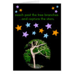 Reach Past the Tree Branches... cards