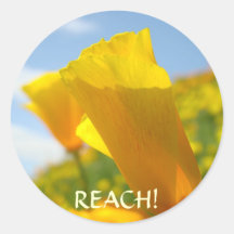 REACH! Stickers Teacher's Gifts Stickers POPPIES