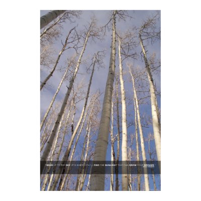 Reach up to the Sky Print by mitchthrower
