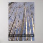 Reach up to the Sky Print