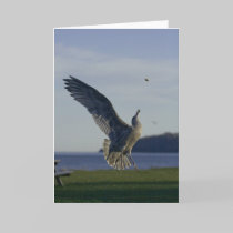 Reaching For A Goal Card cards