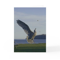 Reaching For A Goal Card