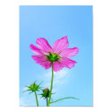 Reaching for Life posters by beverlytazangel Reaching for Life posters