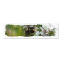 Reaching for Pollen; No Text Bumper Stickers